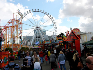 Foto 179788 im Album