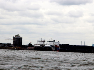 Foto 180031 im Album