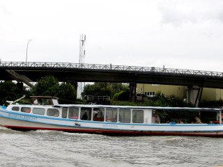 Foto 180072 im Album
