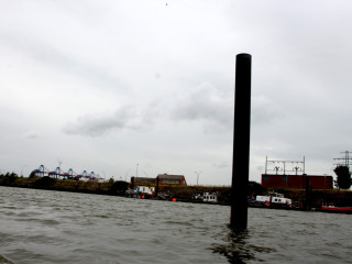 Foto 180076 im Album