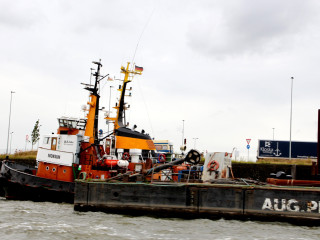 Foto 180083 im Album
