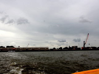 Foto 180086 im Album
