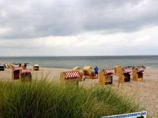 Foto 181167 im Album