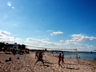 Foto 181188 im Album