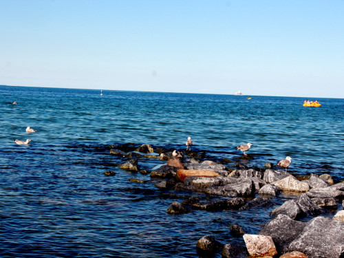 Strand Niendorf – Foto 31
