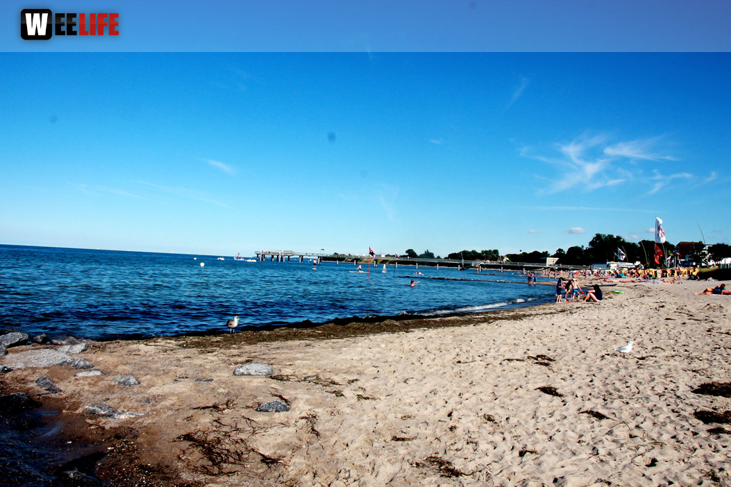 Strand Niendorf