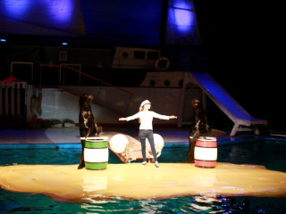 Foto 181474 im Album