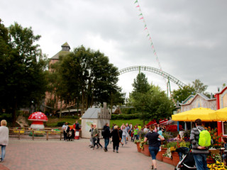 Foto 181483 im Album
