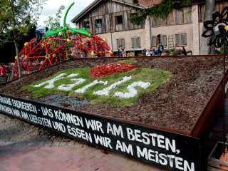 Vorschau des nächsten Fotos