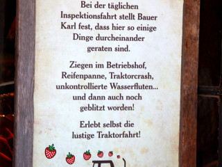 Foto 181571 im Album