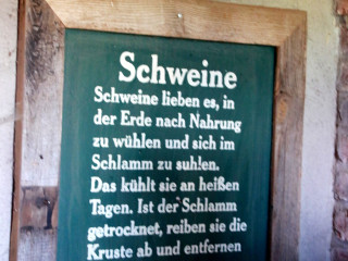 Foto 181574 im Album