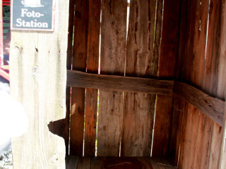 Foto 181587 im Album