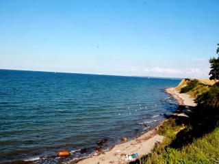 Foto 181675 im Album