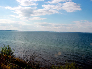 Foto 181678 im Album