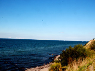 Foto 181681 im Album