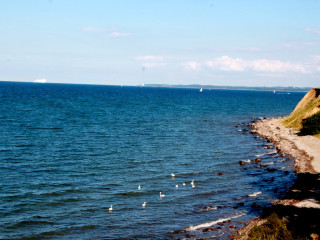 Foto 181686 im Album
