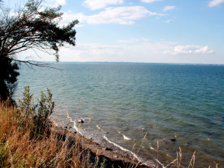 Foto 181689 im Album