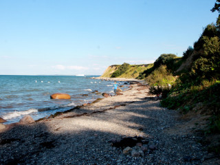 Foto 181694 im Album