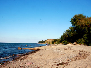 Foto 181699 im Album