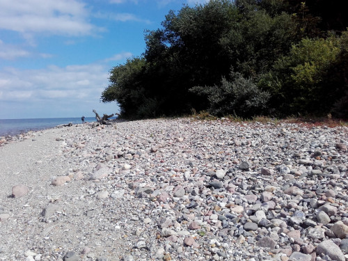Brodtener Steilufer – Foto 29