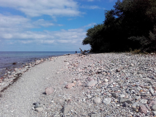 Brodtener Steilufer – Foto 30
