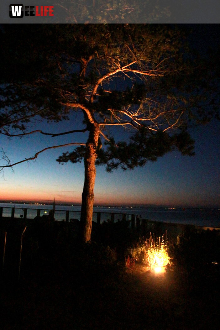 Promenade Niendorf 