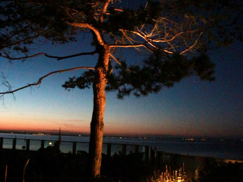 Promenade Niendorf  – Foto 17
