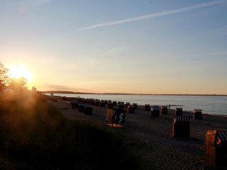 Foto 181839 im Album