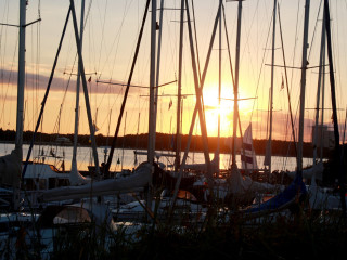 Foto 181841 im Album