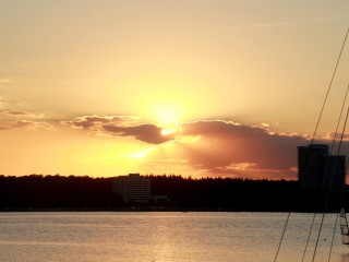 Foto 181843 im Album