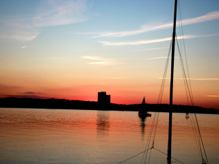 Foto 181886 im Album
