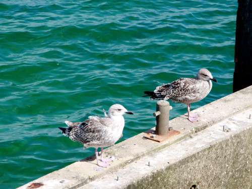 Strand Promenade Timmendorfer Strand – Foto 58
