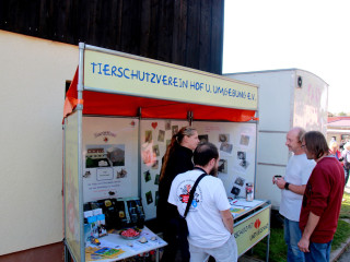 Foto 182282 im Album