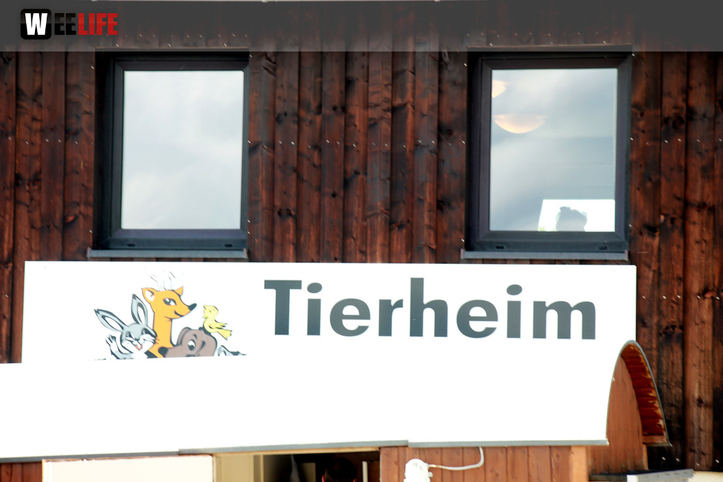 Sommerfest Jubiläum Tierheim Erlalohe