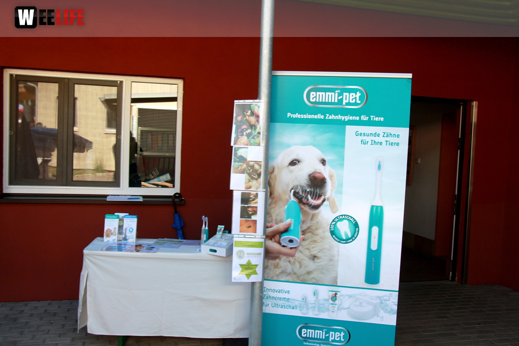 Sommerfest Jubiläum Tierheim Erlalohe