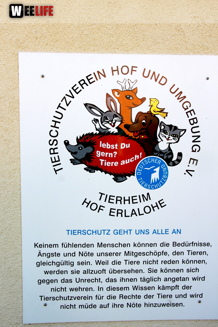 Sommerfest Jubiläum Tierheim Erlalohe