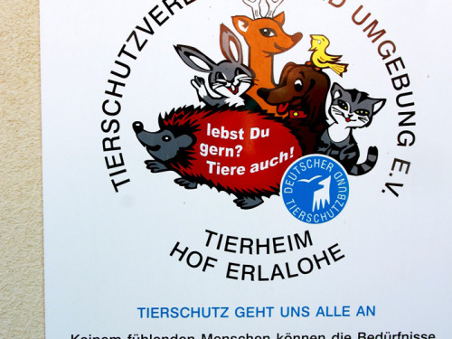 Sommerfest Jubiläum Tierheim Erlalohe – Foto 22