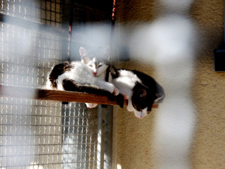 Foto 182501 im Album