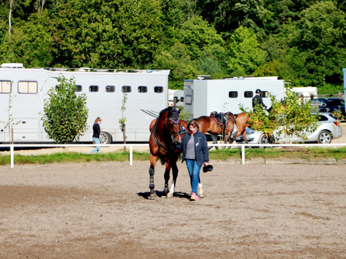 3. Hofer Springtage – Foto 9