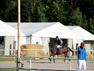 Foto 182520 im Album