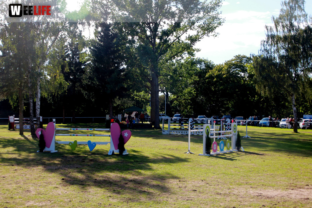 3. Hofer Springtage