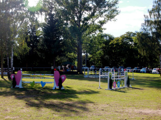 Foto 182527 im Album