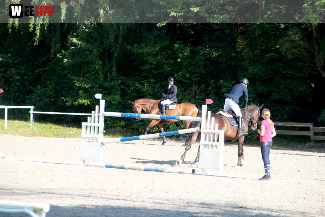 3. Hofer Springtage