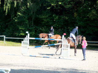 Foto 182537 im Album