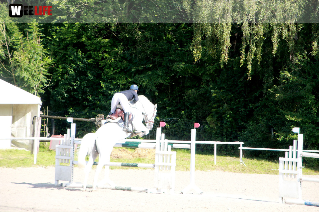 3. Hofer Springtage