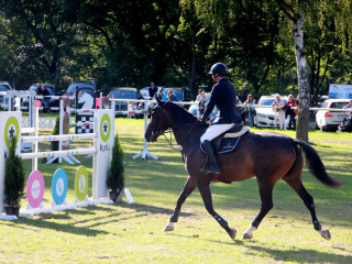 Foto 182544 im Album