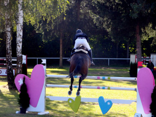 Foto 182554 im Album