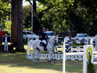 Foto 182560 im Album
