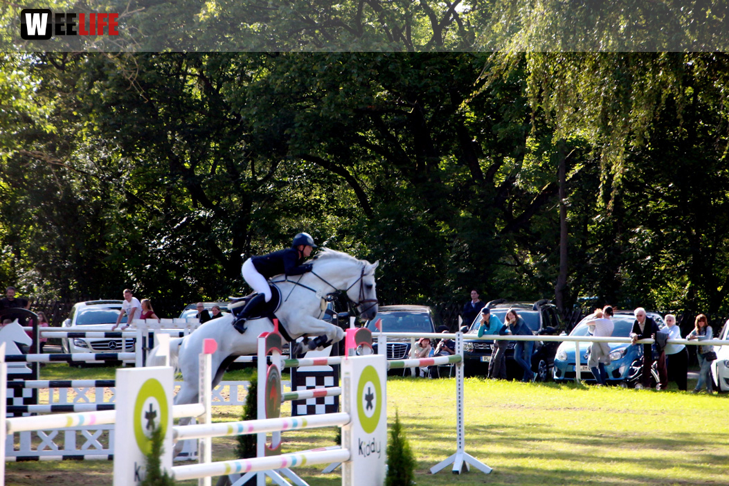 3. Hofer Springtage
