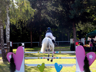 Foto 182570 im Album
